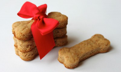 Родезийский риджбек Ина - dog-biscuit-1819224.jpg