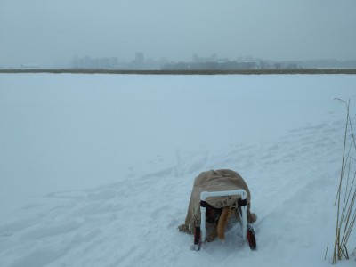 Пенка Казань - IMG_20170212_155731.jpg